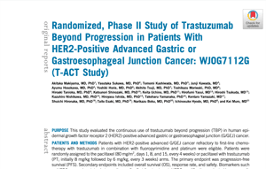 HER2陽性胃癌のHER2陰性化の問題 - レ点腫瘍学ノート