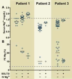 SGLT2 Inhibitors for Treatment of Refractory Hypomagnesemia: A Case Report of 3 Patients