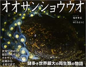 オオサンショウウオ (そうえんしゃ写真のえほん) | ゆうき えつこ |本 | 通販 | Amazon