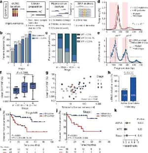 Integrating genomic features for non-invasive early lung cancer detection