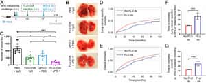 Intratumoral injection of the seasonal flu shot converts immunologically cold tumors to hot and serves as an immunotherapy for cancer