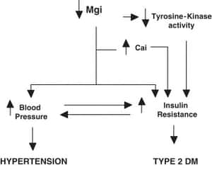 Magnesium and diabetes mellitus: Their relation