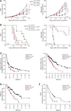 Gut microbiome influences efficacy of PD-1–based immunotherapy against epithelial tumors