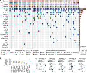Diverse alterations associated with resistance to KRAS(G12C) inhibition - Nature