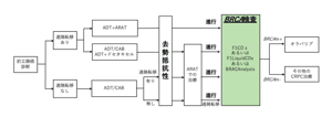 前立腺癌のPARP阻害剤コンパニオン診断の見解書第2版 - レ点腫瘍学ノート