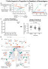 Tumor and Microenvironment Evolution during Immunotherapy with Nivolumab - PubMed