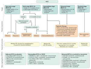 肝細胞癌診療に重要なパラメータ用語集 - レ点腫瘍学ノート