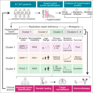 Comprehensive Analysis of Hypermutation in Human Cancer