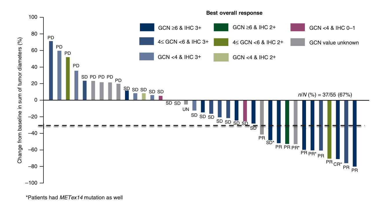 Molecular correlates of response to capmatinib in advanced non-small-cell lung cancer clinical and biomarker results from a phase I trial