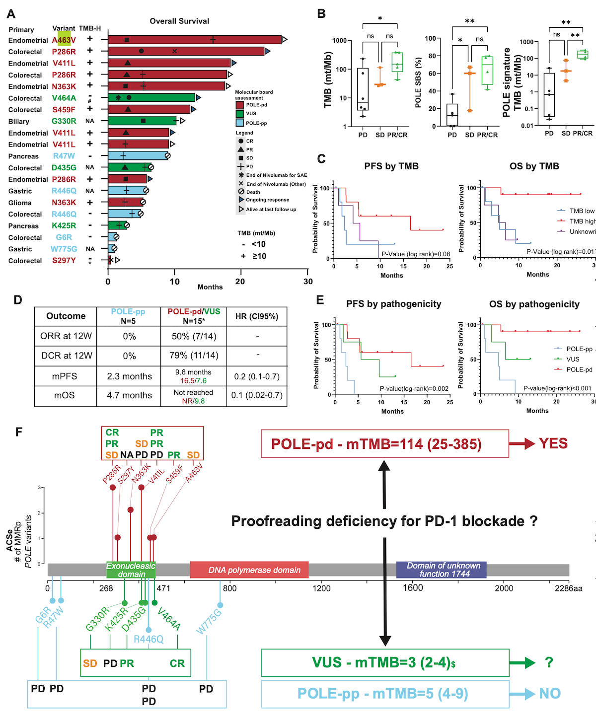 POLE変異は免疫チェックポイント阻害剤バイオマーカーとなるか問題